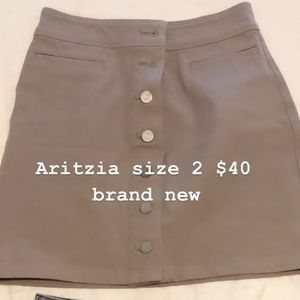 Aritzia skirt